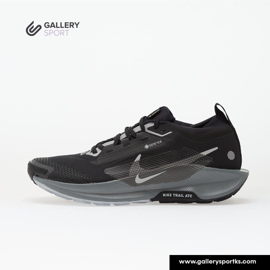 Nike Pegasus Trail 5 Gore-Tex